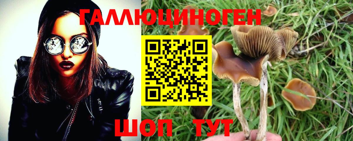 Галлюциногенные грибы Magic Shrooms Полысаево
